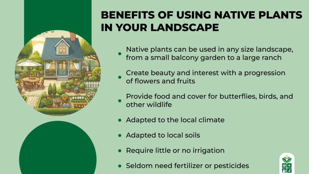 Benefits of Using Native Plants in Your Landscape