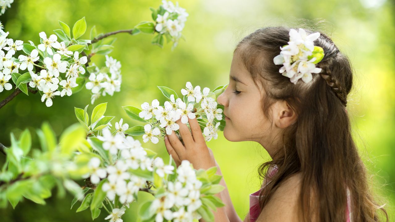 Most Fragrant Perennials