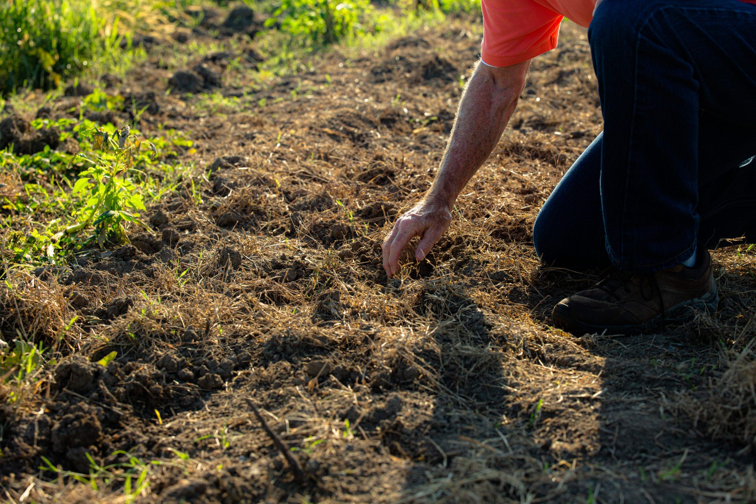 Steve McKaskle McKaskle Family Farm AgriCapture