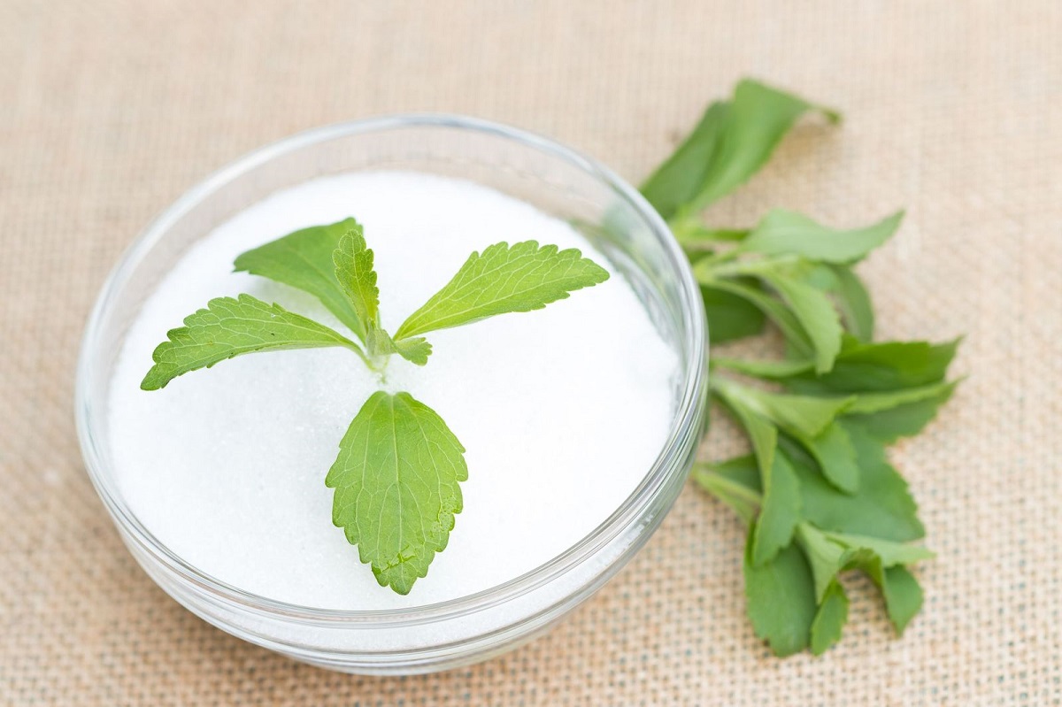 What is Stevia and how can we use in daily life SteviaTech Pioneers