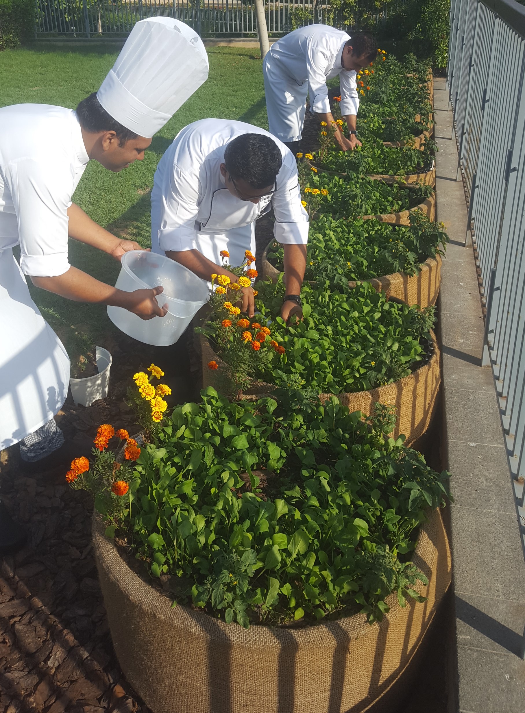 Agriculture Box ORGANIC URBAN FARMING SYSTEMS