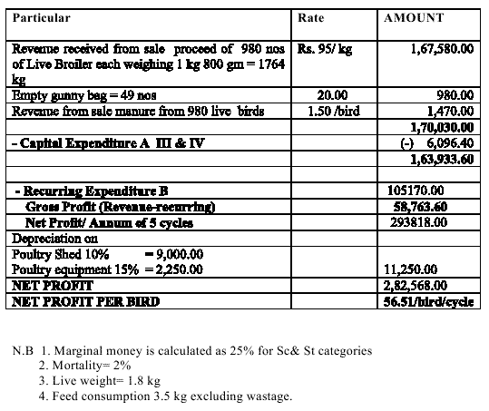Poultry Project Report Cost and Profits Agri Farming
