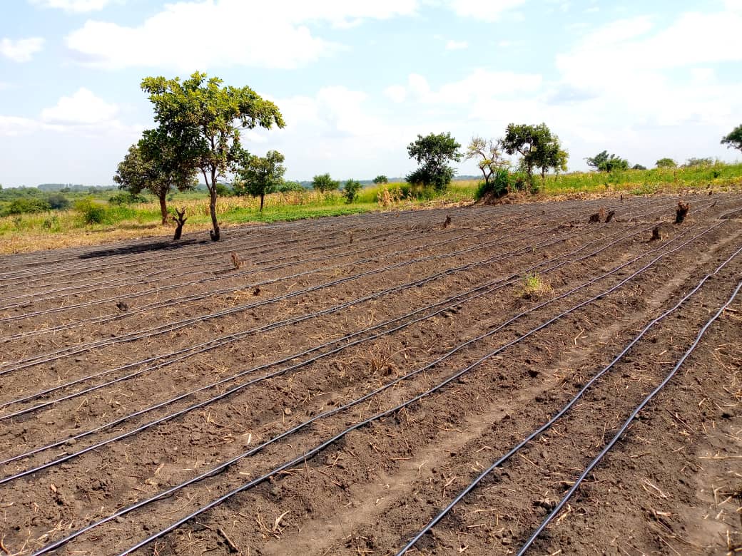 Irrigation Systems Agrifarm Uganda Limited