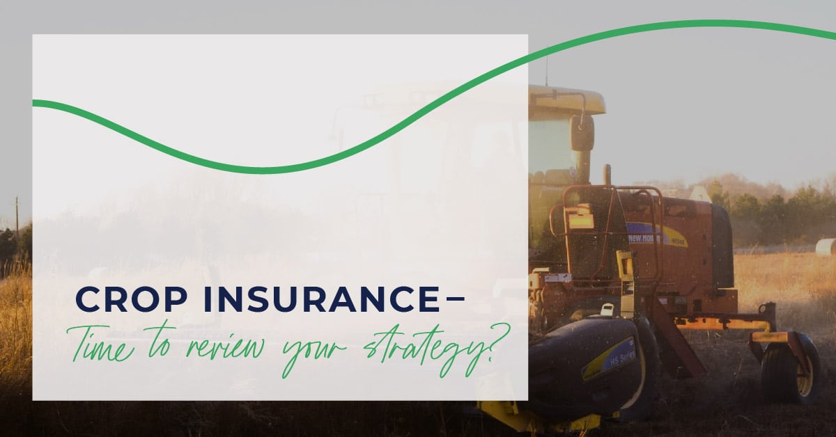 Crop Insurance Time to review your strategy? Agrifocused