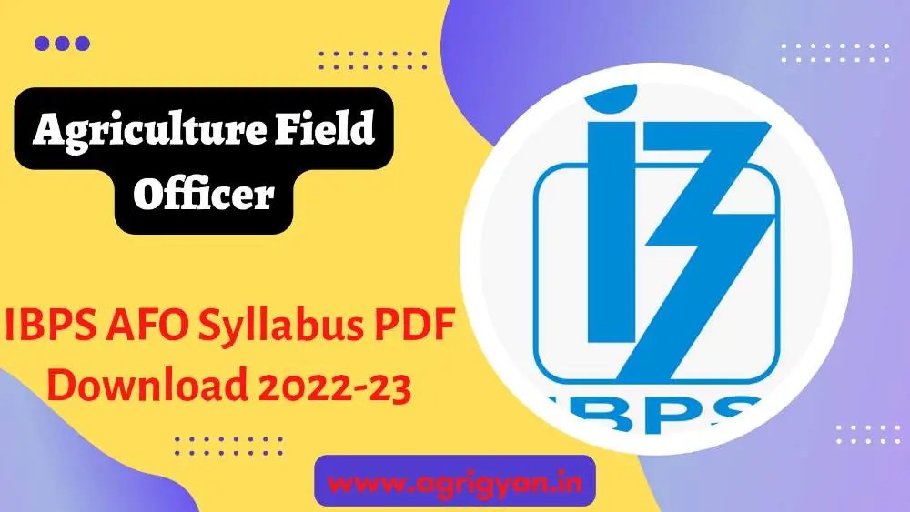IBPS AFO Salary Structure, Job Profile, Career Growth, Pay, 47 OFF