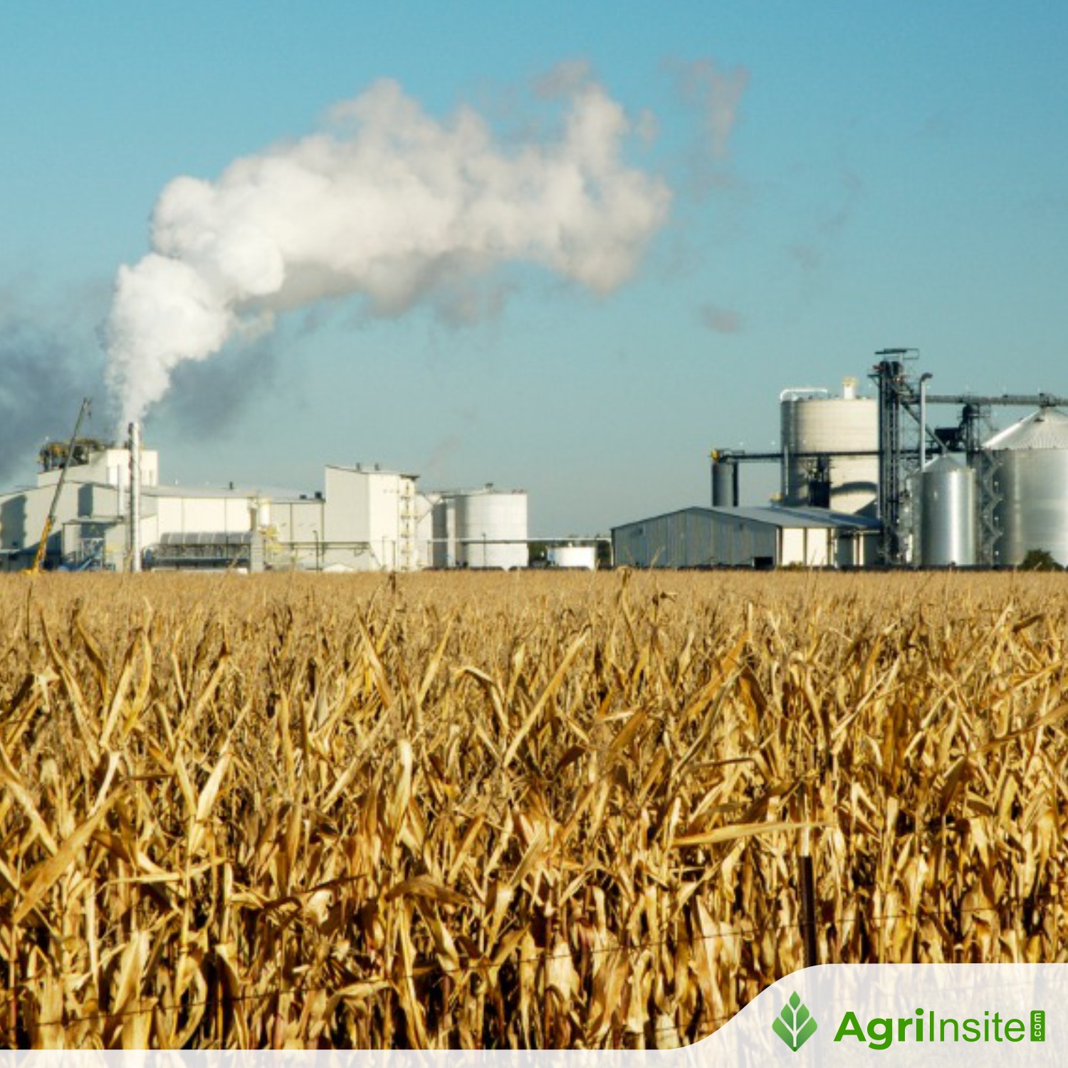 Sugarcanebased cooperative sugar mills will be converted into multi
