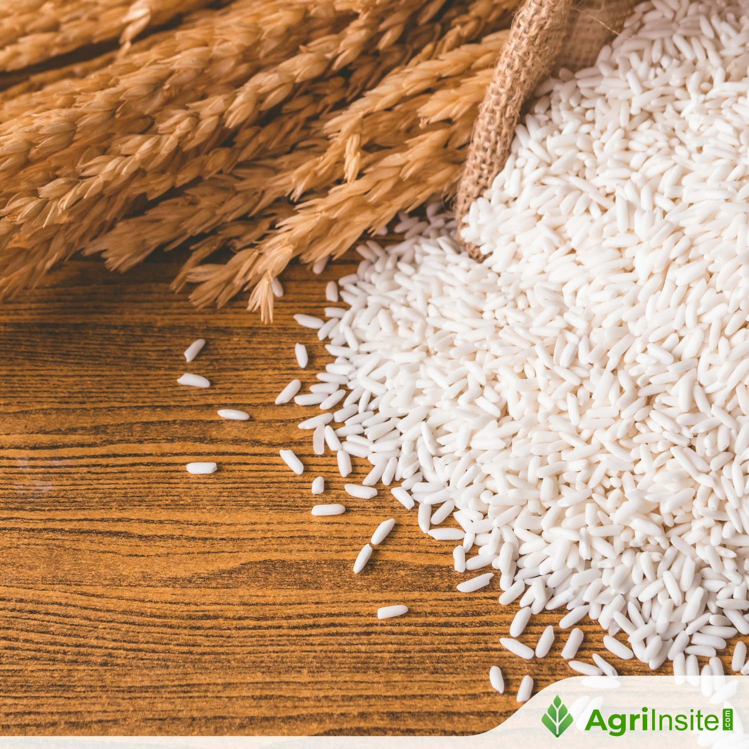 Food and Consumer Affairs Minister Pralhad Joshi launches online