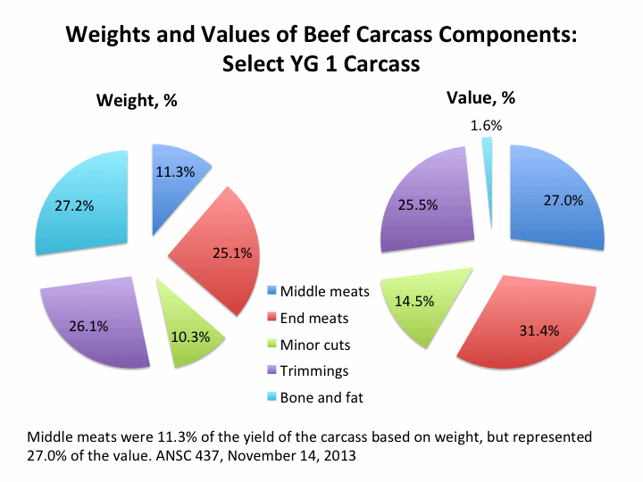 Beef carcass yields and value demonstration in ANSC 437 Meat Science