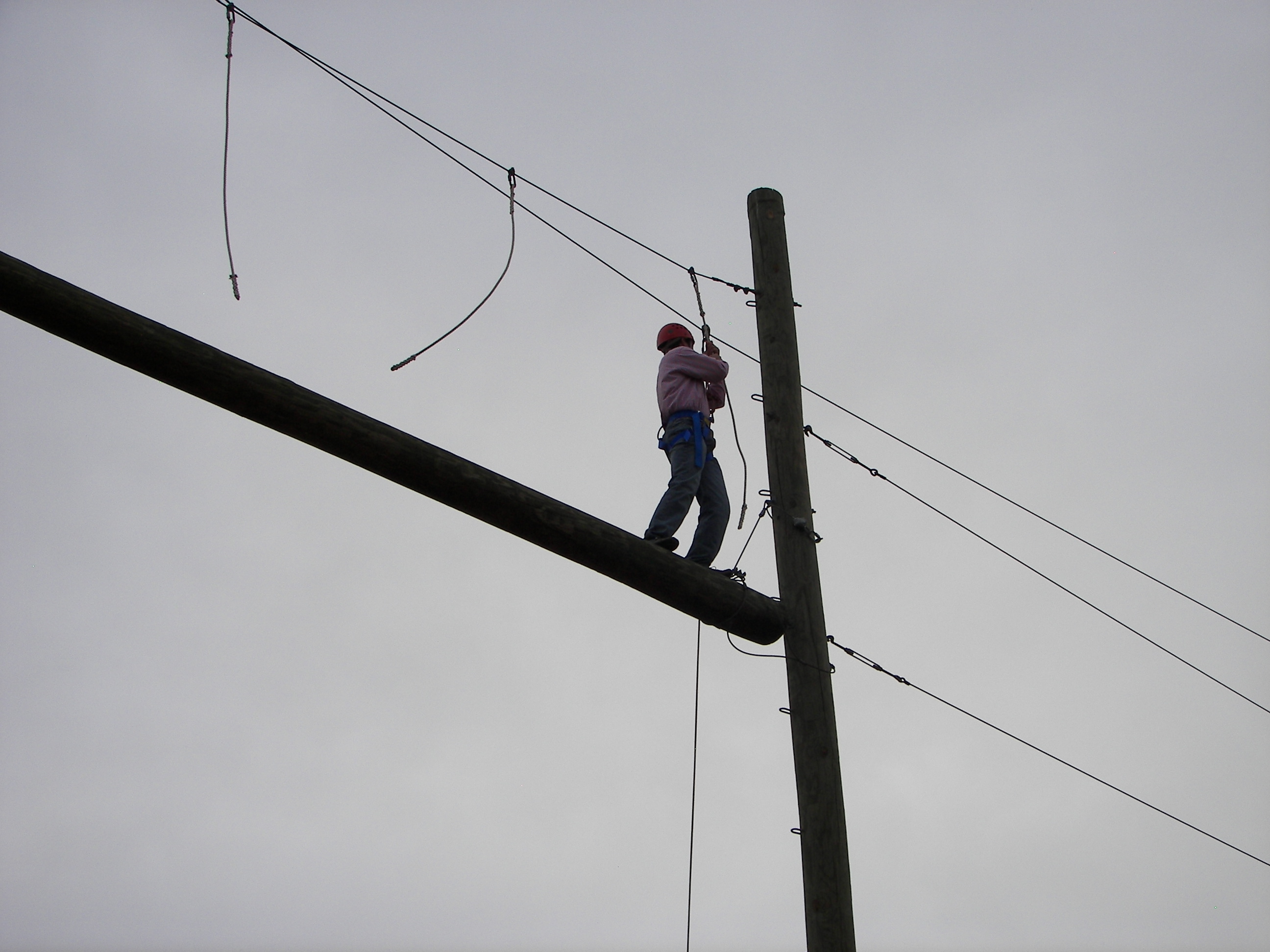 High Swinging Log Texas 4H Conference Center