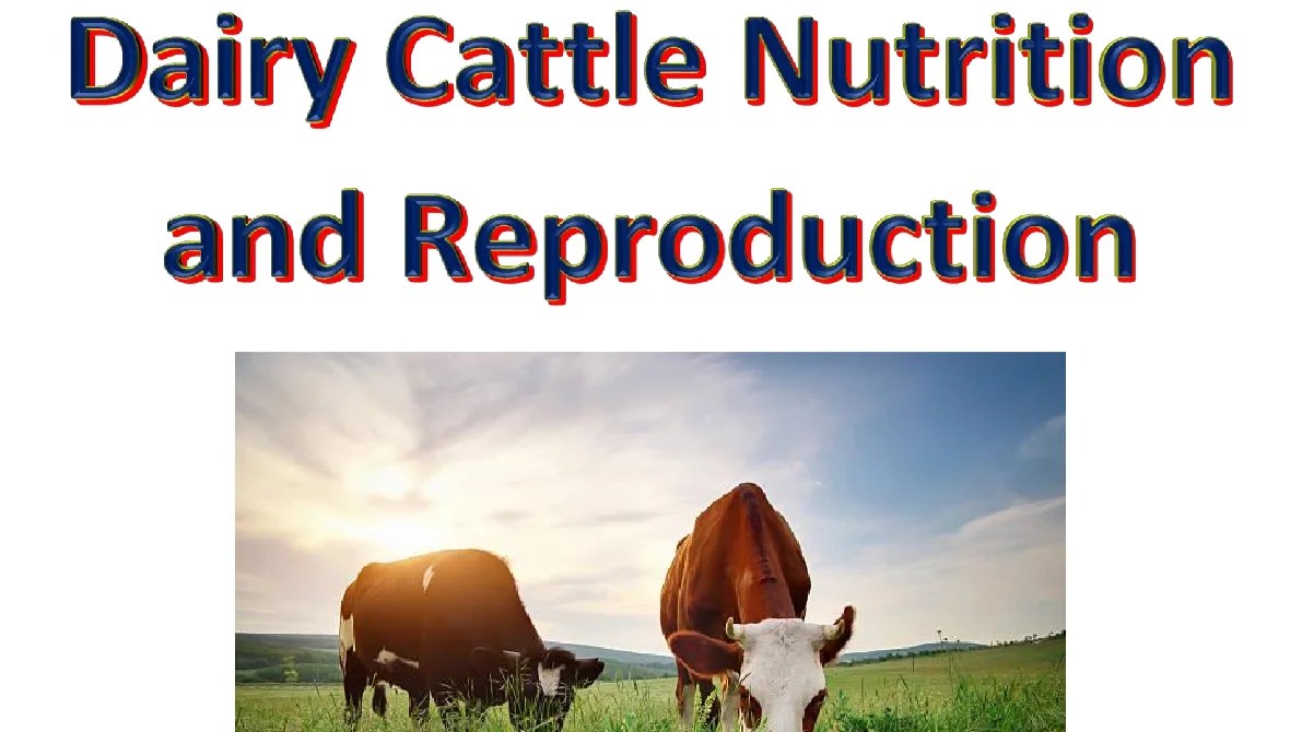 Dairy Cattle Nutrition and Reproduction Notes For Dairy & Food