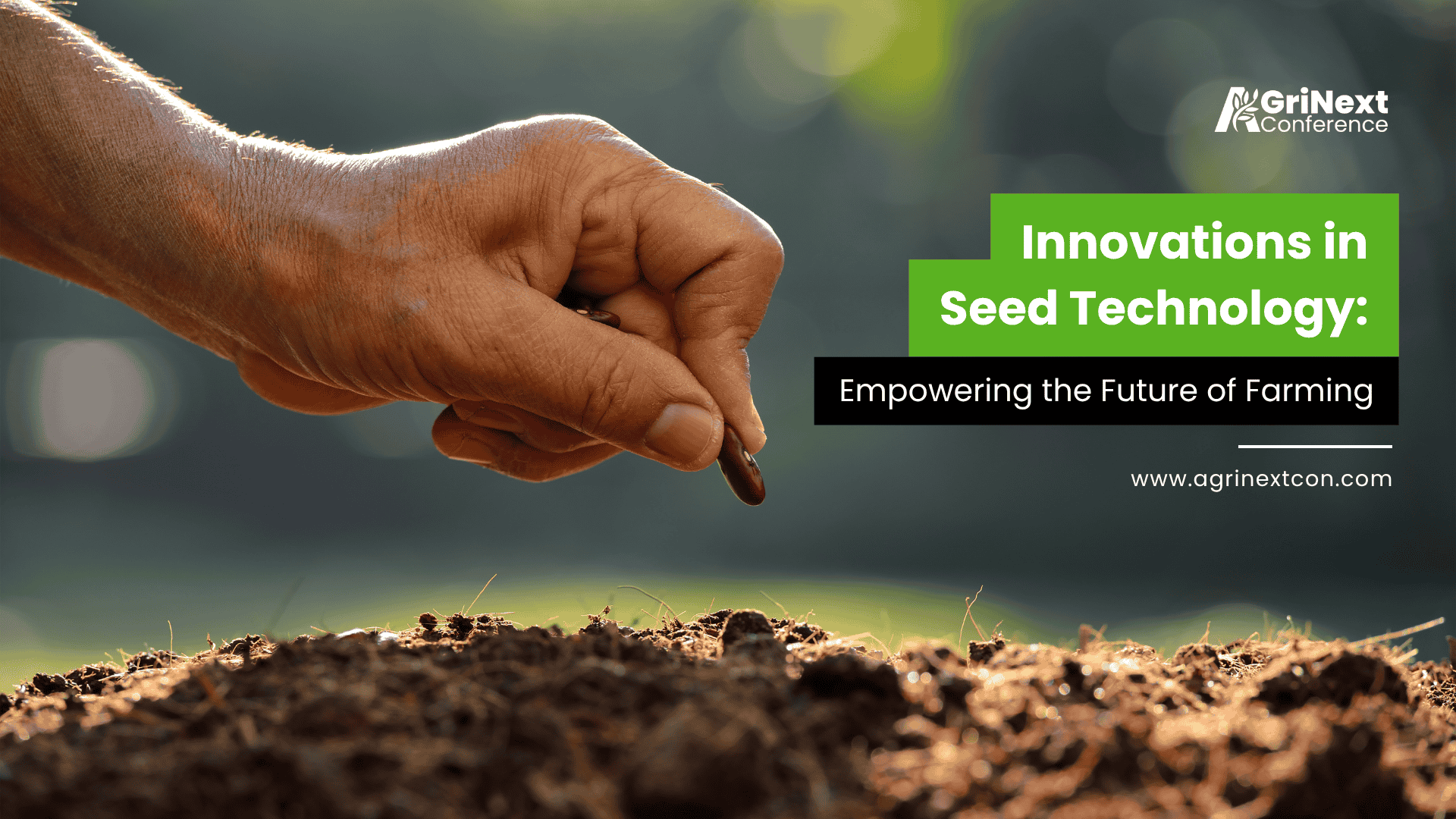 Innovations in Seed Technology The Future of Farming