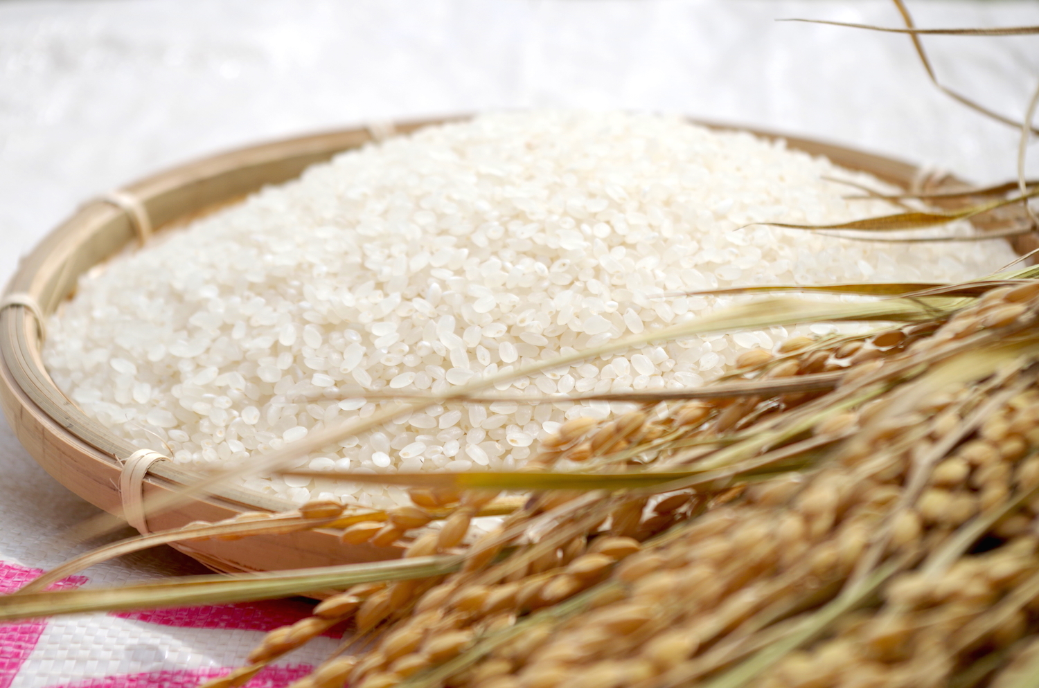 生産者でも実は知らないお米の種類｜注目の新品種や料理に合うお米で差別化しよう｜農業・ガーデニング・園芸・家庭菜園マガジン[AGRI PICK]