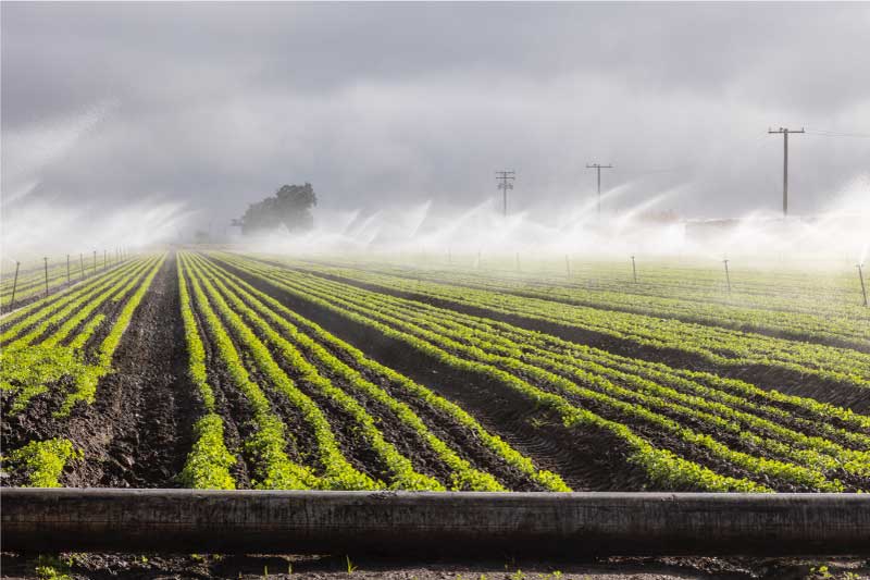 Wastewater as irrigation water Agriplastics Community