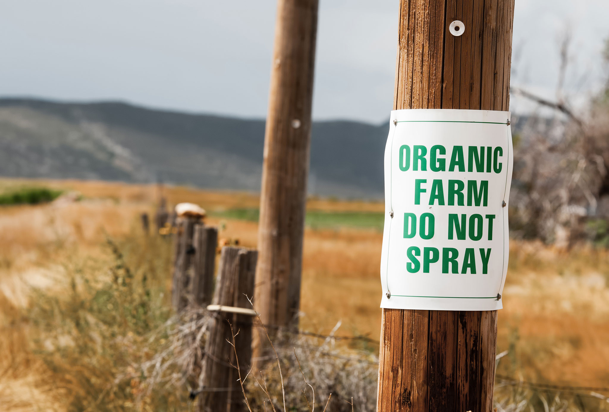 Preventing Pesticide Drift (And What to Do if it Happens) AgriSecure