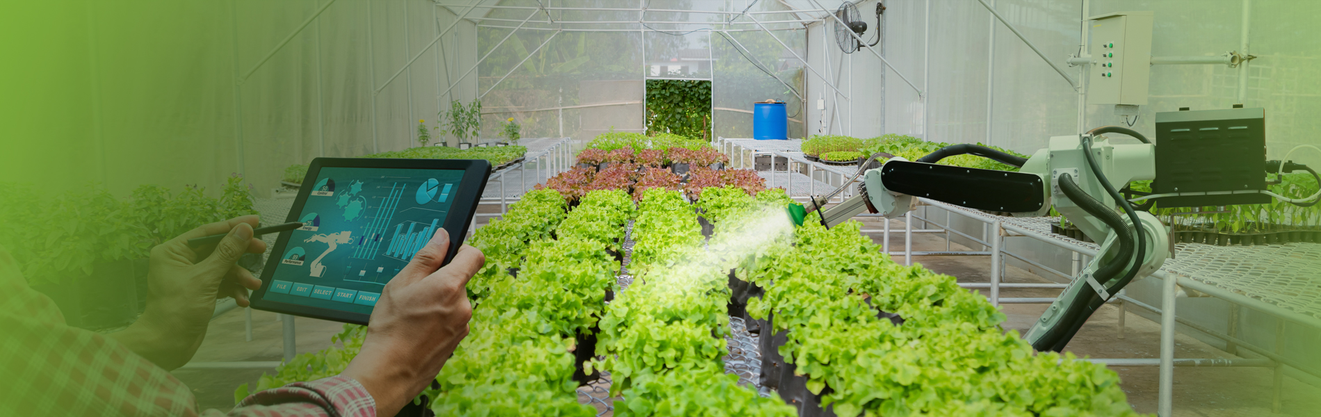 Agriculture Risk Consultant Agriculture Insurance Crop insurance