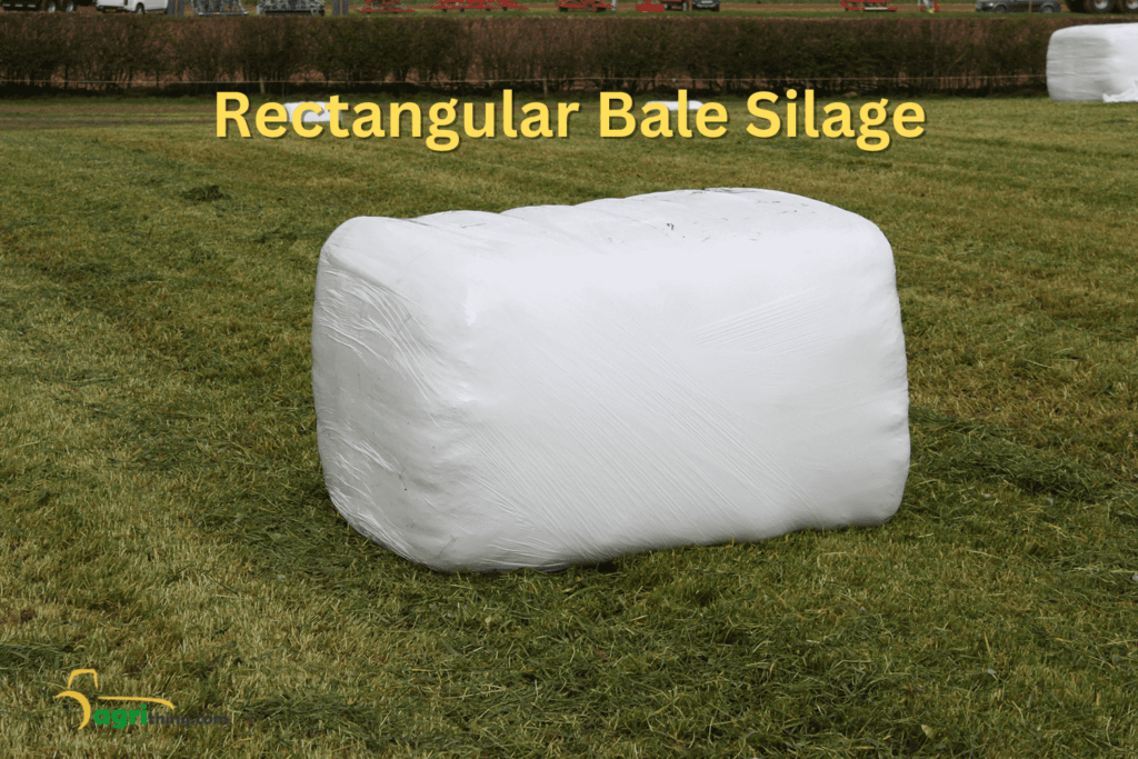 How Much Is Round Bale Silage Worth at Jesse Carbone blog
