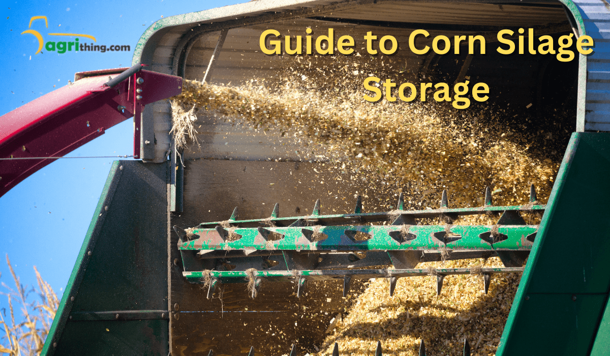 Ultimate100 Free Guide To Corn Silage Storage! Read Now!