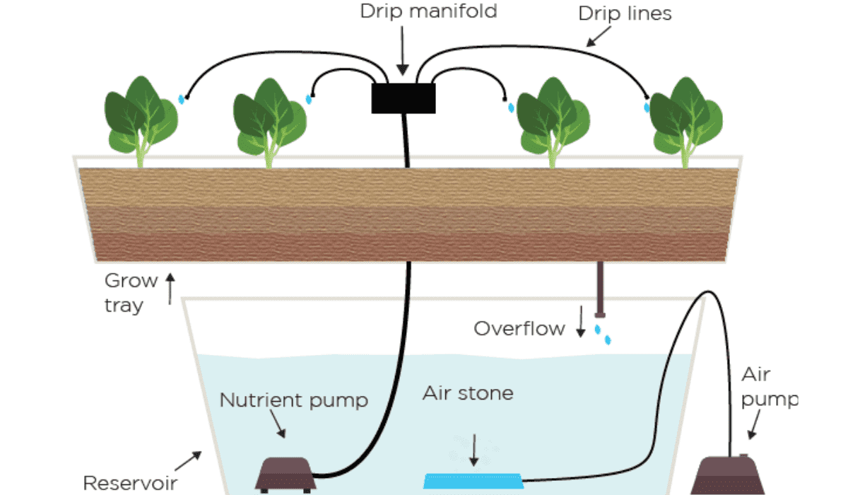 Maximize Growth Drip Irrigation System In Pakistan Complete Guide