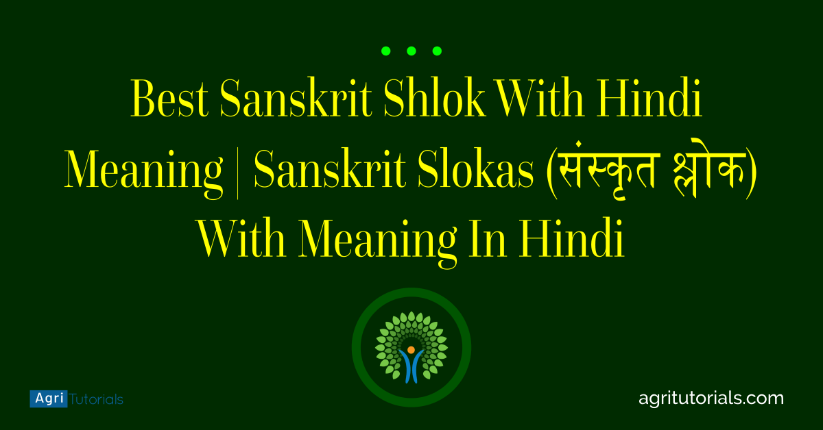 120+ Best Sanskrit Shlok With Hindi Meaning Sanskrit Slokas (संस्कृत