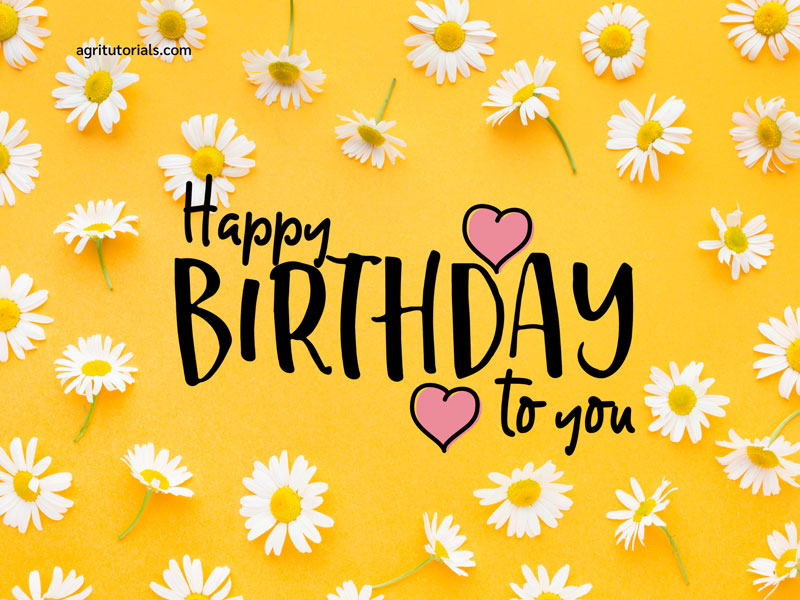 Best 165+ Happy Birthday Images, Wishes, Pictures & Photos AGRI TUTORIALS
