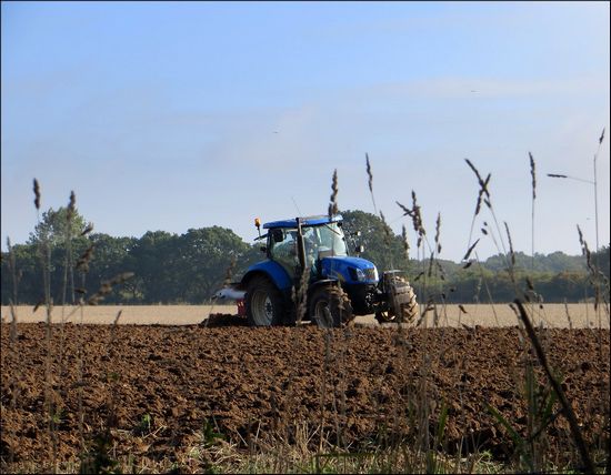 New Holland T6050 Elite: Specs, Engine, Transmission, Dimensions