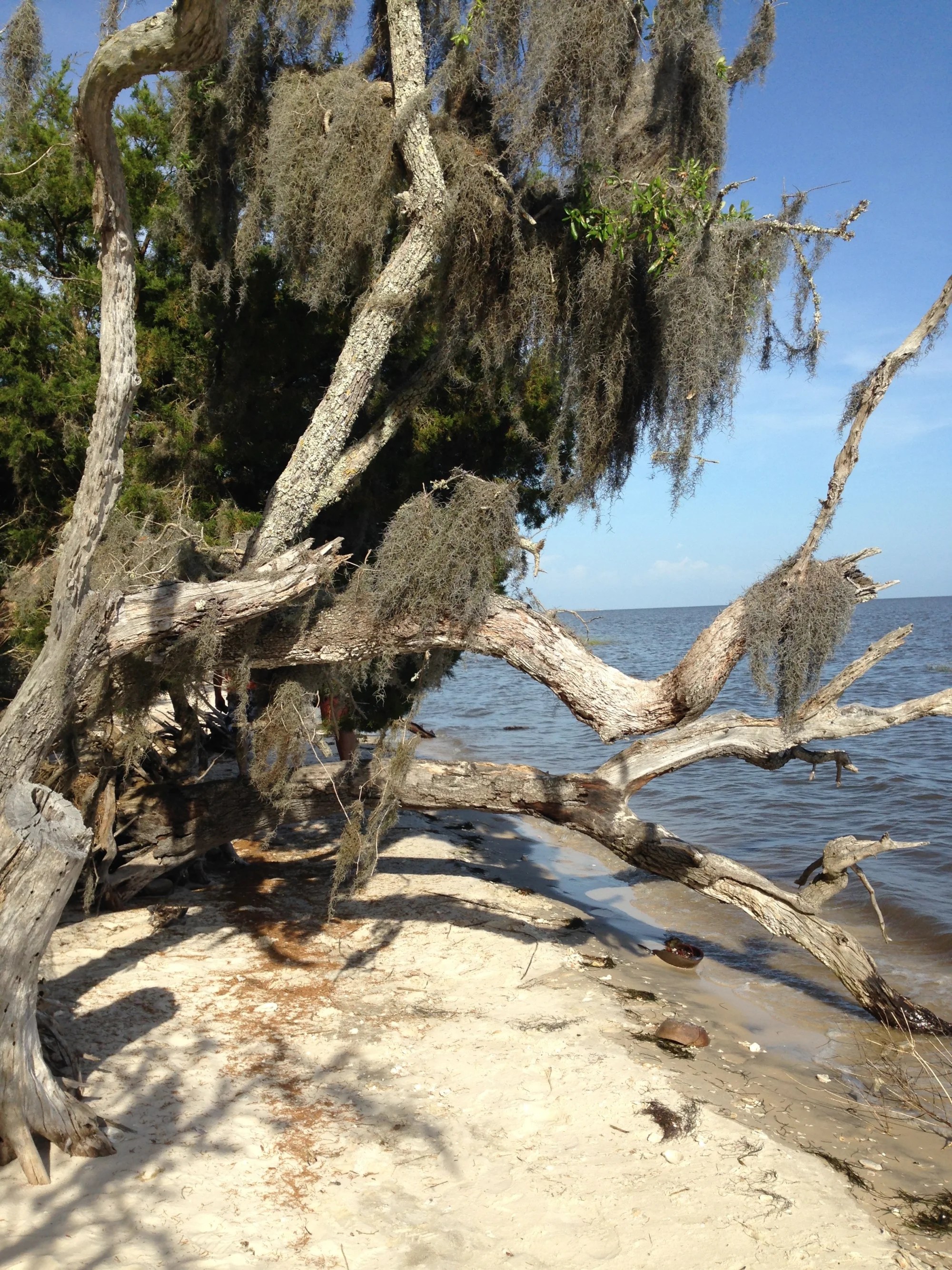 cedar key Agroads RV Adventures
