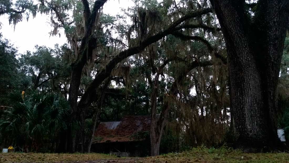 Exploring Micanopy Florida in the morning Agroads RV Adventures