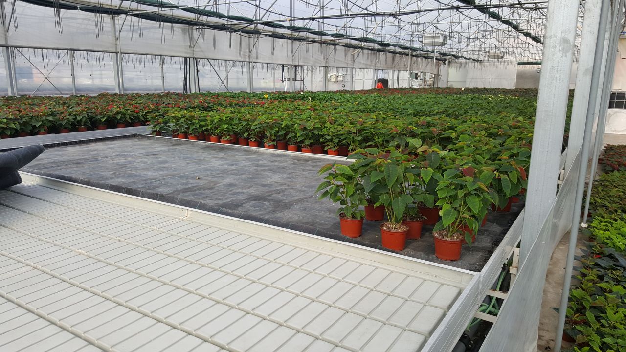 Stolovi Agroconstruct