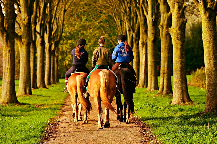 Llega el Primer Itinerario Ecuestre de la Comunidad de Madrid AGRO
