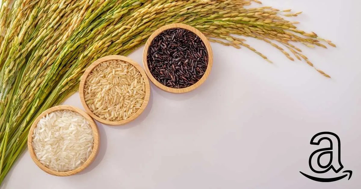 Best Basmati Rice in Pakistan Agro Hub