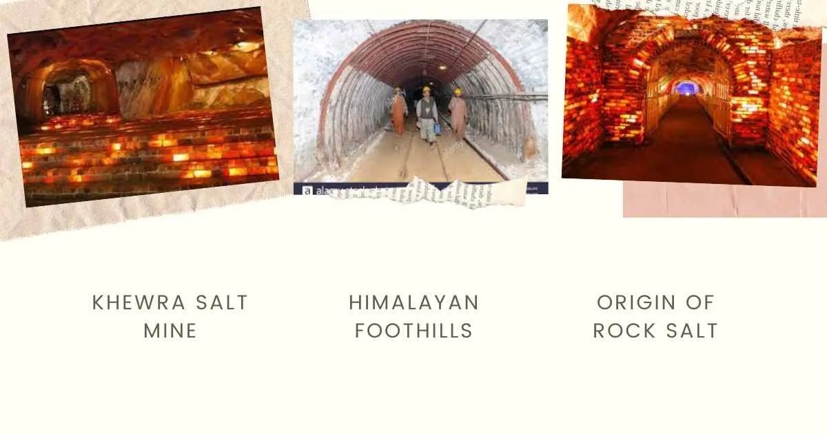 Best Rock Salt for Cooking Rock Salt Agro Hub