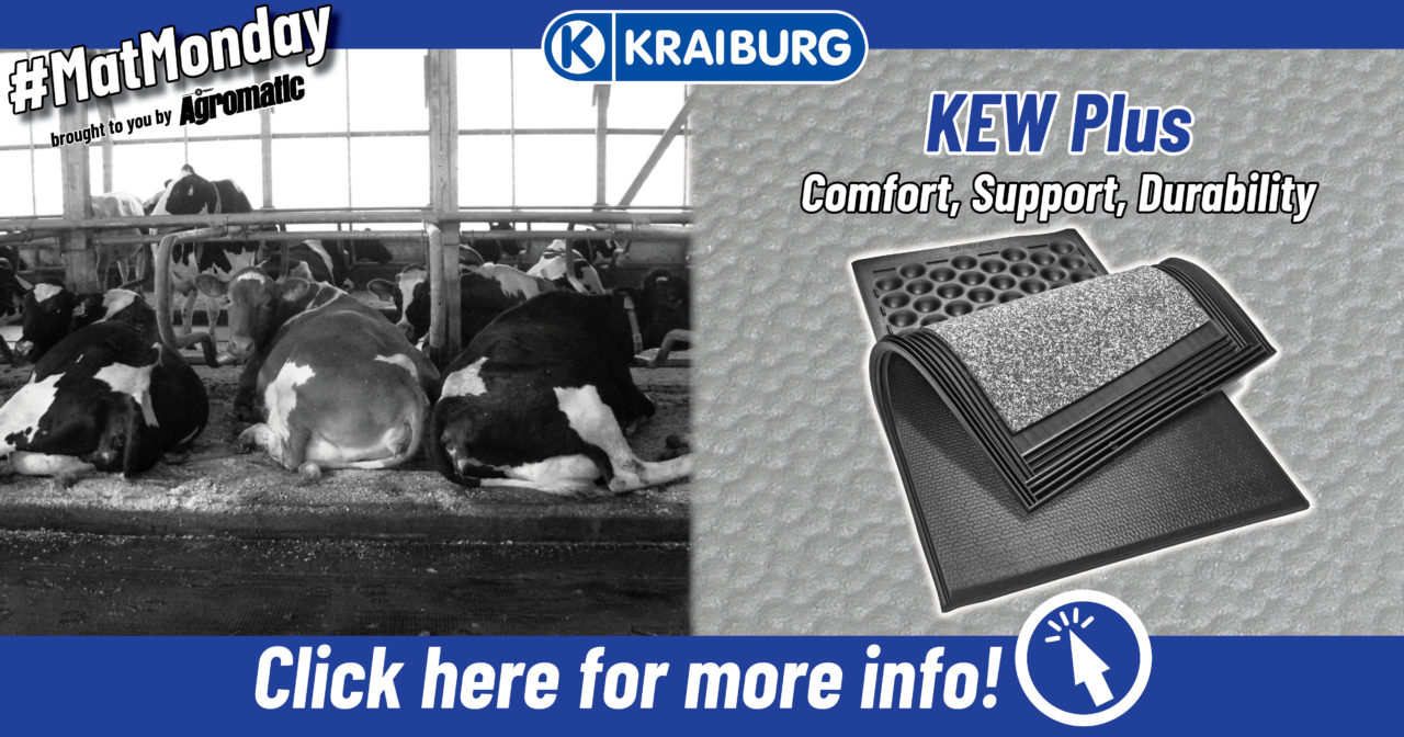 3Layer Cow Stall mats for Free Stalls KRAIBURG KEW Plus