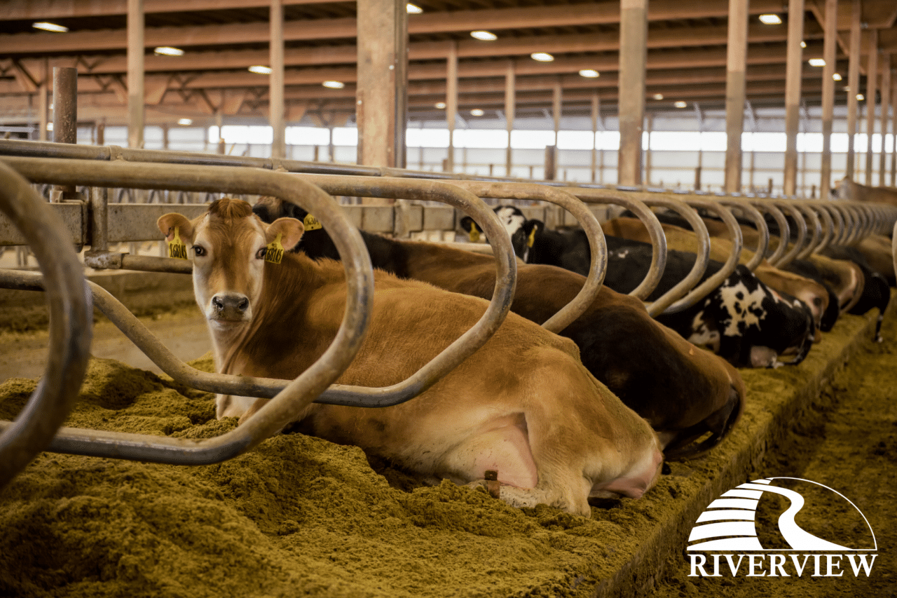 Riverview LLP Morris, Minnesota Agromatic Portfolio