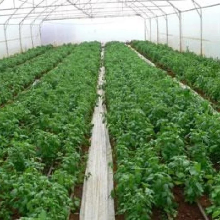 Herb Farming How to Set Up an Indoor Herb Garden Kit Agro Pro