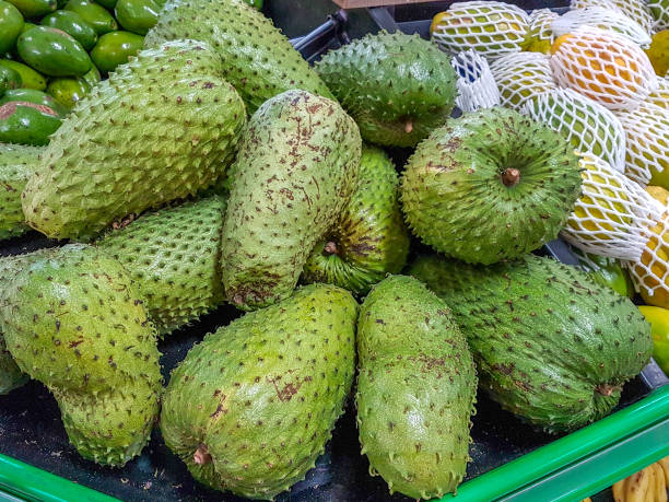 GUANABANA, CARACTERÍSTICAS Y BENEFICIOS