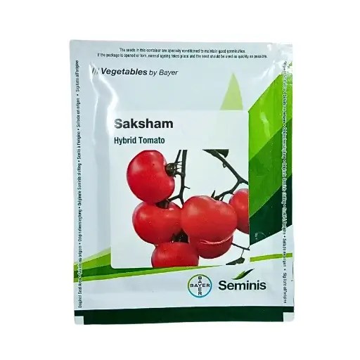 Bayer Seminis Hybrid Tomato Saksham 10gm Organic Seeds