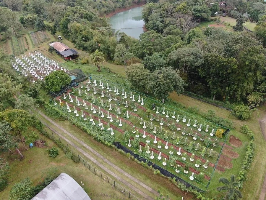 Outdoor Tower Farm Indoor Tower Farm Greenhouse Tower Farm Agrotonomy