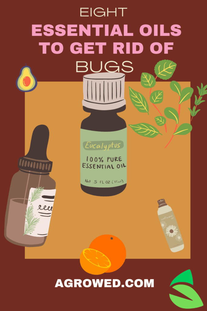8 Essential Oils to Get Rid of Pantry Moths & Other Insects Agrowed