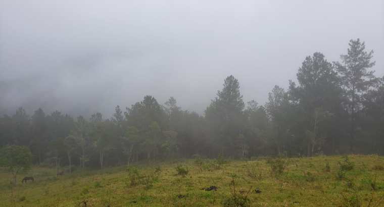 Tareas de tierra en venta Jarabacoa