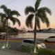 Local comercial en alquiler