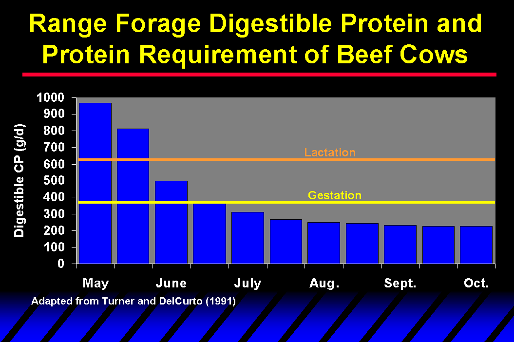 Protein Supplementation College of Agricultural Sciences