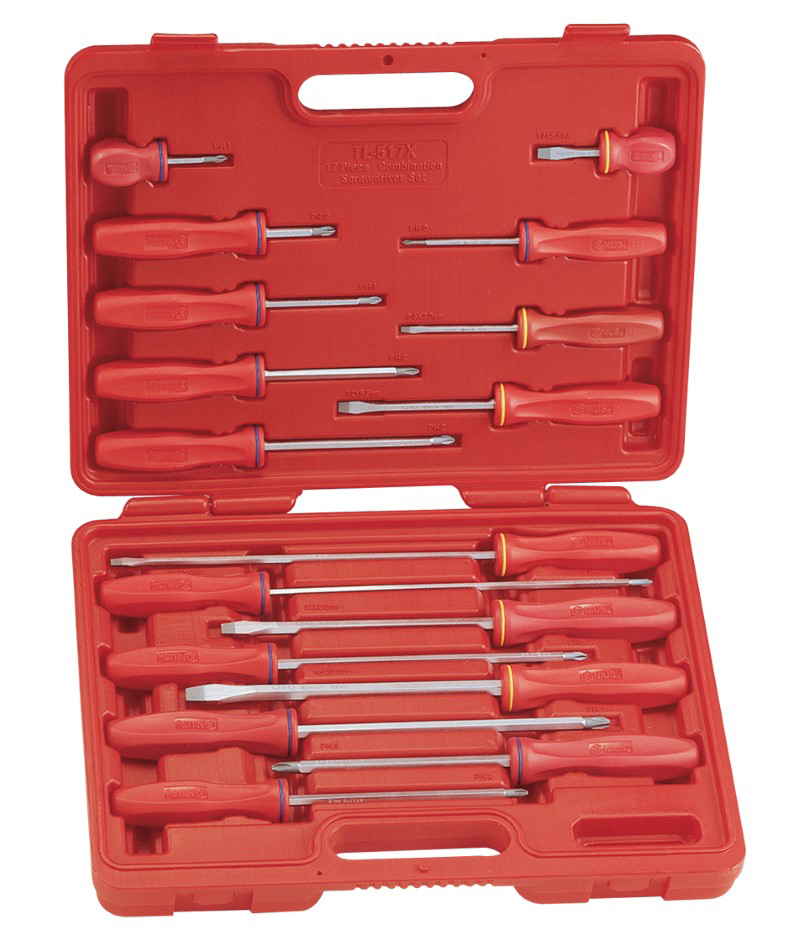 17 Piece Slotted & Philips Screwdriver Set AG Tools