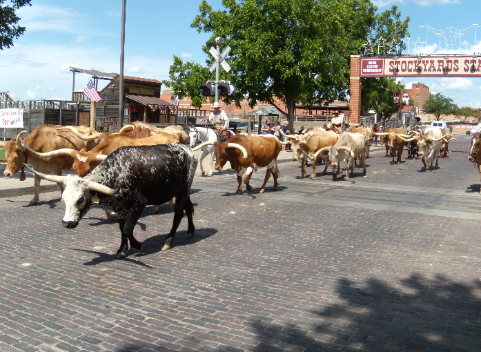 farm day defuniak springs 2023 Beef Cattle Tour USA