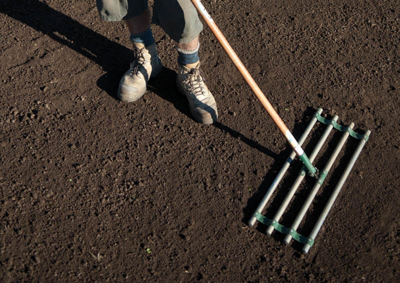 How To Top Dress Your Lawn AGTurf Supplies