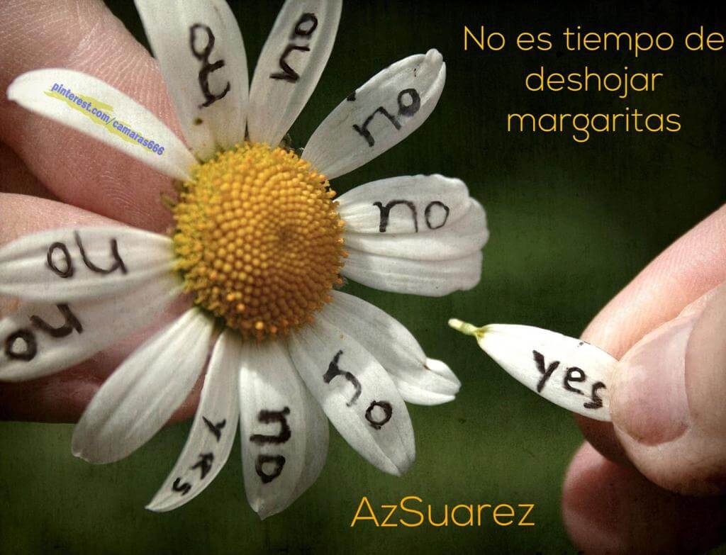 No es Tiempo de Deshojar Margaritas Agueda Suarez