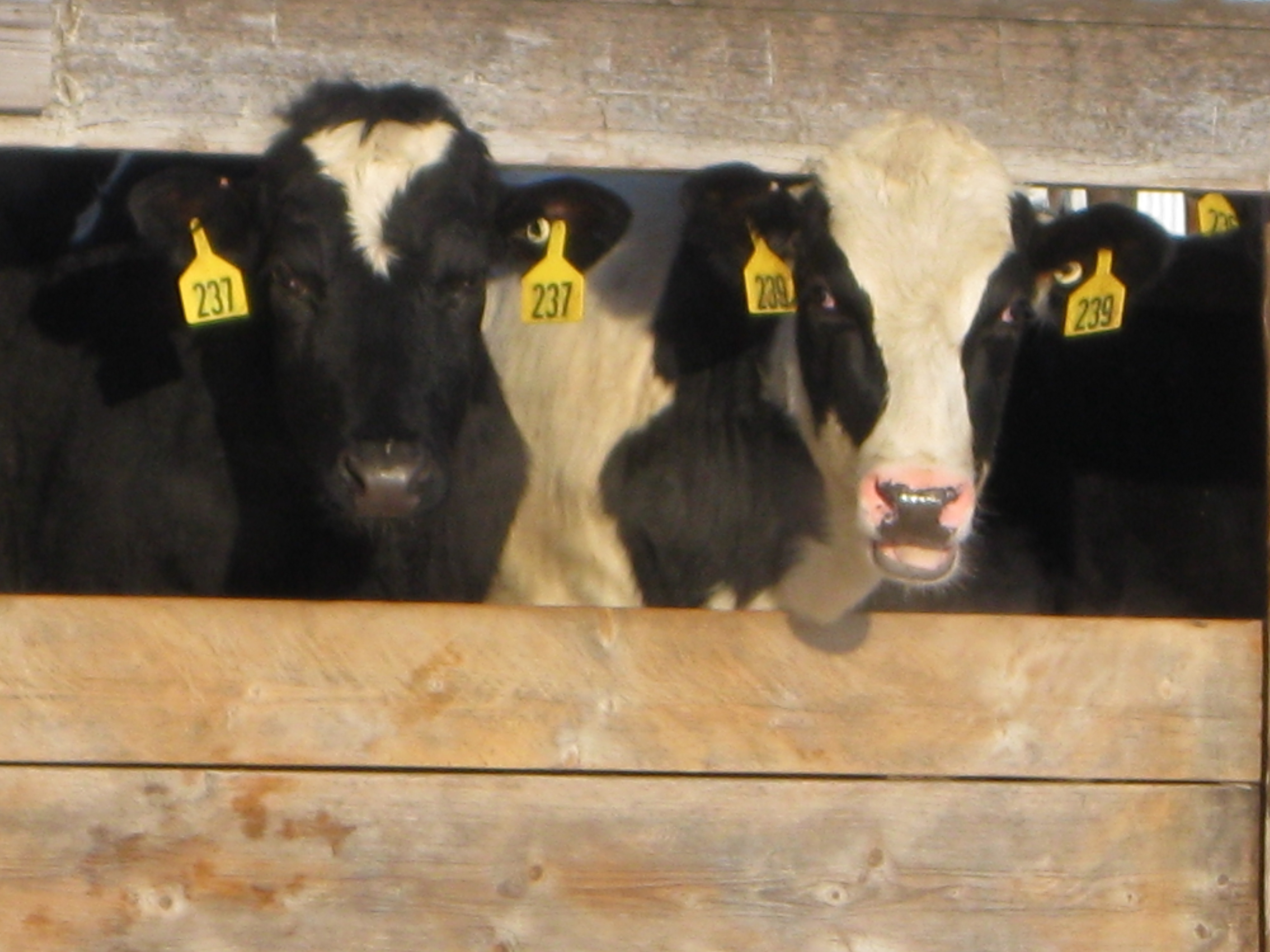 Water Appropriations Permits for Livestock Producers in Minnesota Ag Water Exchange