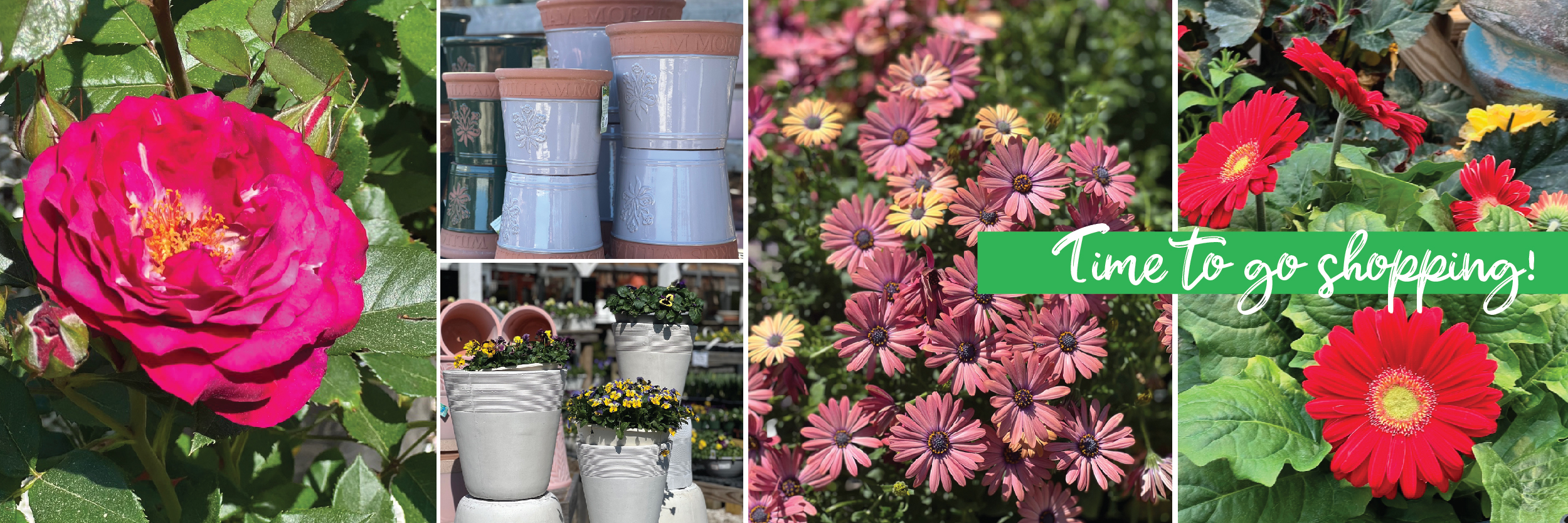 Garden Center Agway of Cape Cod