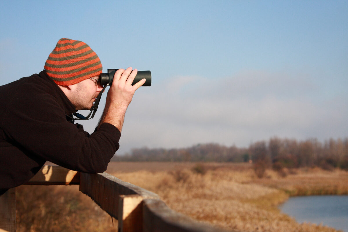 Winter Bird Watching in Cape Cod Agway of Cape Cod