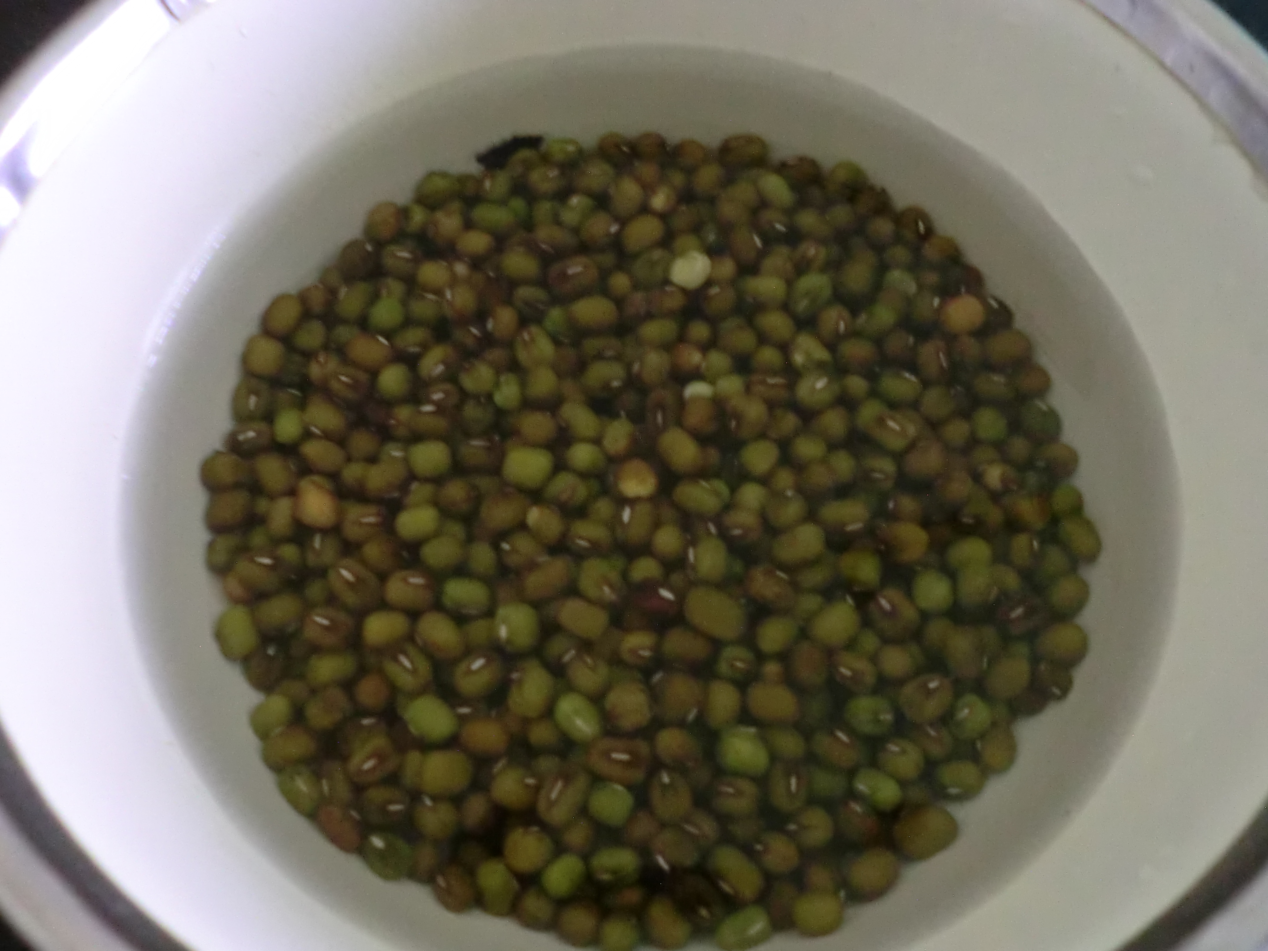 HOW TO SPROUT GREEN GRAM AT HOME Ahaaa Food