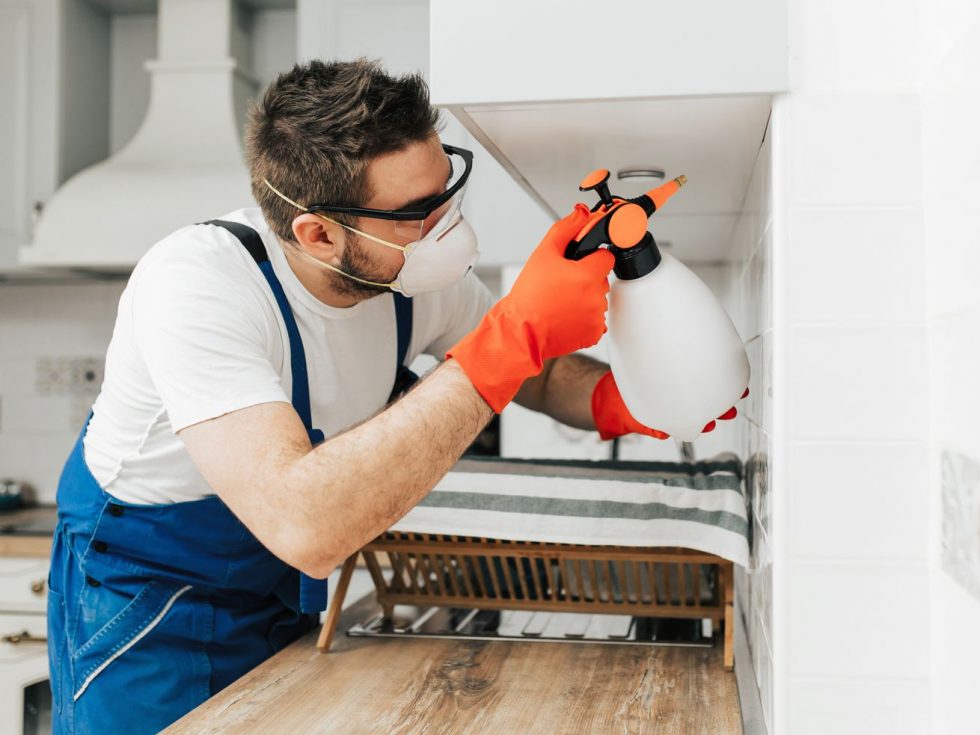 Home Paramount Pest Control Review American Homeowners Association